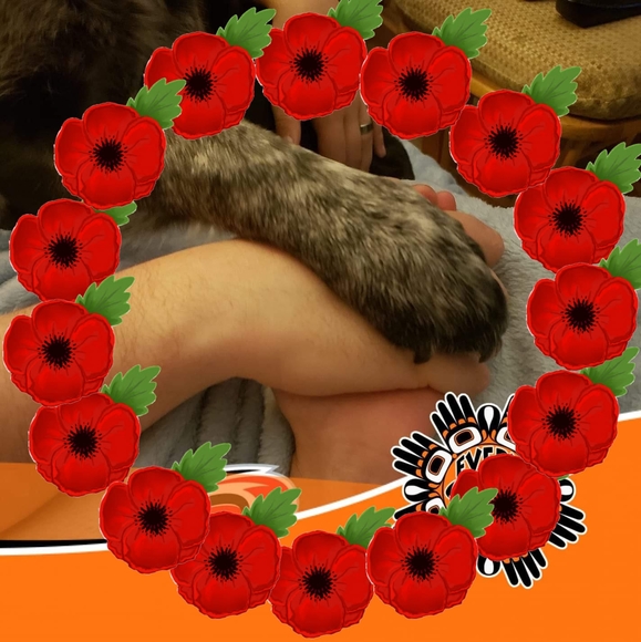 Meet your Posher, Matthew - Picture 1 of 1